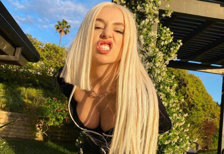 Ava Max Pets