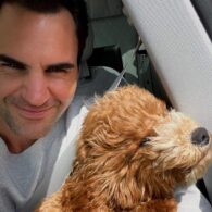 Roger Federer's pet Willow