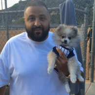 DJ Khaled's pet Pomeranian