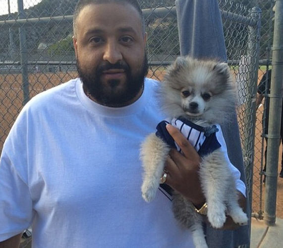 DJ Khaled Pets