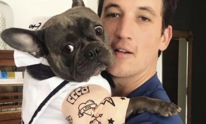 Miles Teller Pets