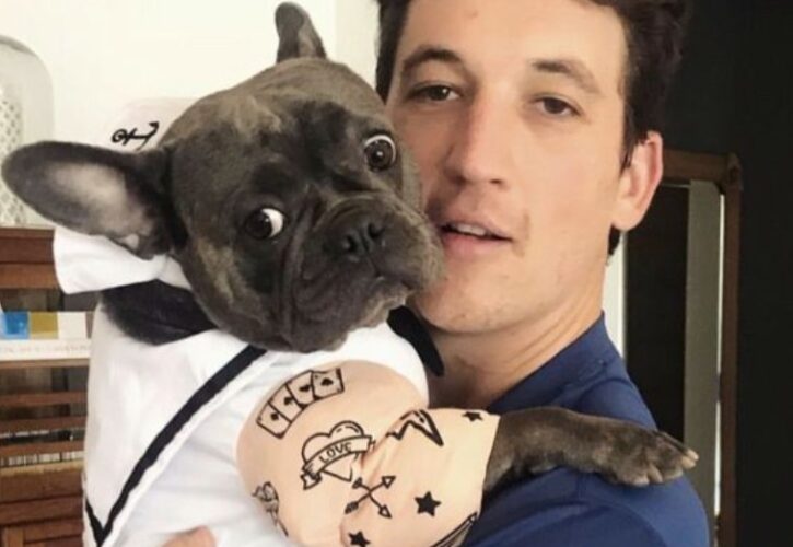 Miles Teller Pets