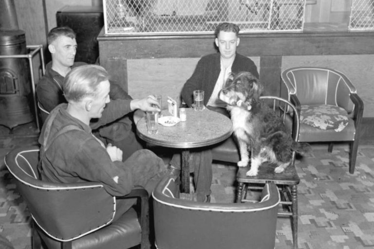 mike, famous bartending dog in Bowser, Vancouver Island