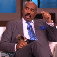 Steve Harvey's pet Three more dogs