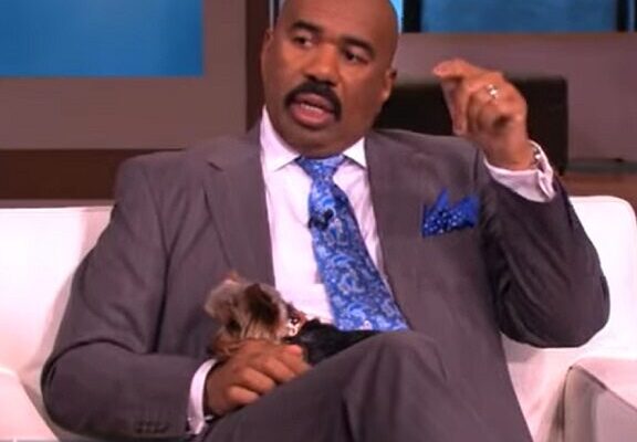 Steve Harvey Pets