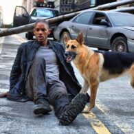 Will Smith's pet Abbey (Samantha from 'I Am Legend')