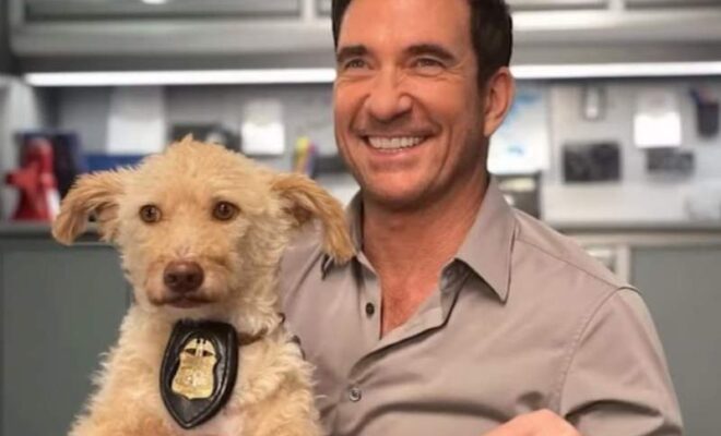 Dylan McDermott Pets