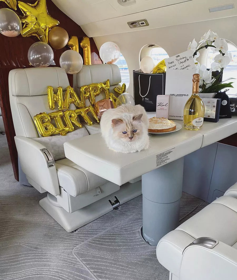 Karl Lagerfeld's cat Choupette's birthday party on a private jet