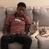 YoungBoy Never Broke Again's pet White Tiger