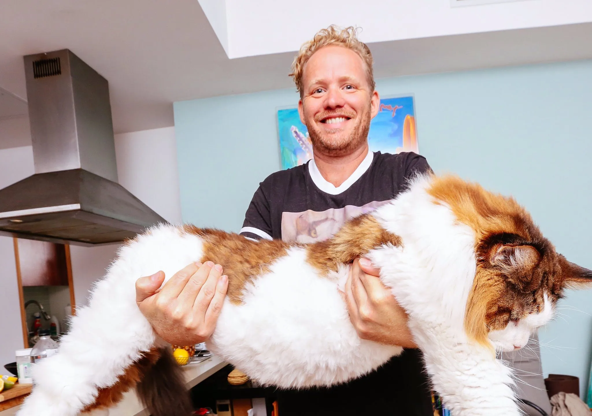 Samson The Cat (Catstradamus), a Maine Coon, Biggest Cat from the Big