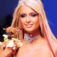 Paris Hilton's pet Dolce