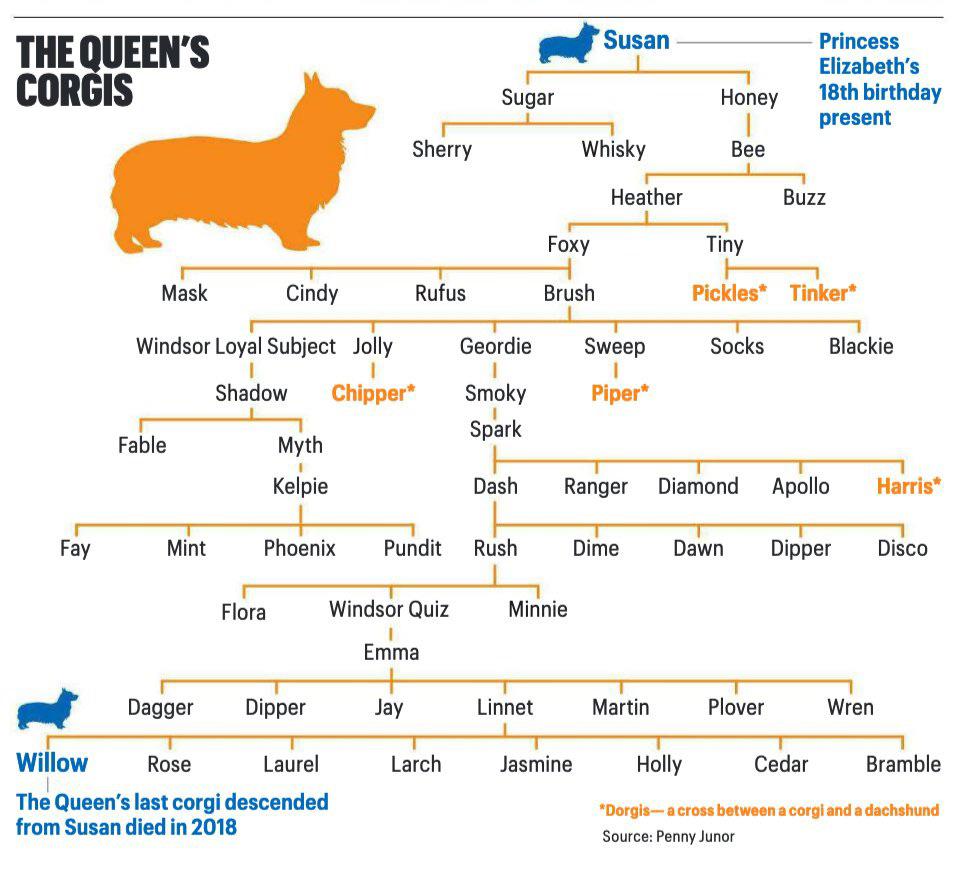 Queen Elizabeth Corgi Family Tree