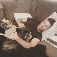 Andy Grammer's pet Lucy and Frankie