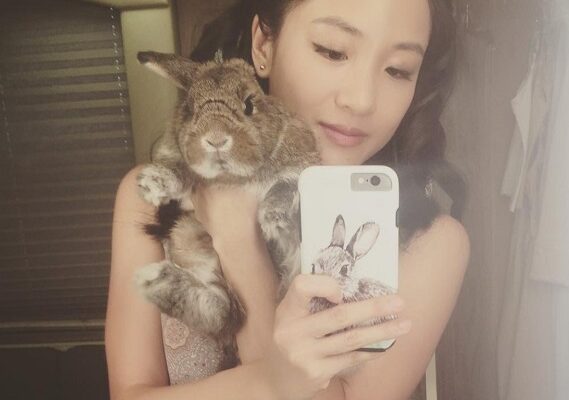 Constance Wu Pets