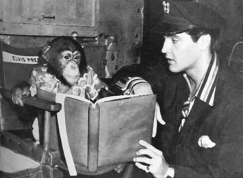 Elvis pet chimpanzee monkey named Scatter