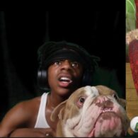 IShowSpeed's pet Bulldog