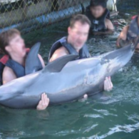 Lil’ Kleine's pet Free Dolphins