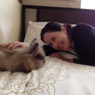 Mary Scheer's pet Bunny
