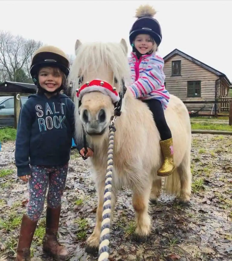 Teddy The Shetland is a Pony with Fur All Over and a Calming Presence ...