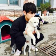 V (Kim Tae-hyung)'s pet Soonshim