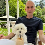 Zinedine Zidane's pet Maltese Poodle