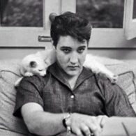 Elvis Presley's pet Wendell
