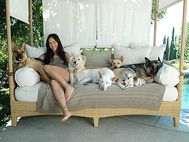 Maggie Q - dog rescue adoption advocate