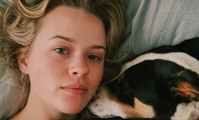 Ava Phillippe Pets