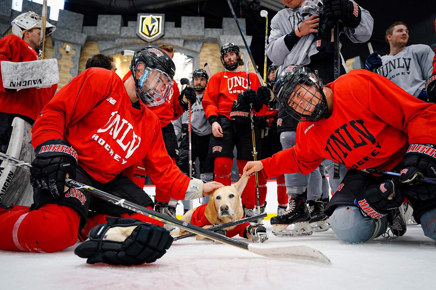 Benny the Ice Skating Dog