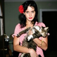 Katy Perry's pet Kitty Purry