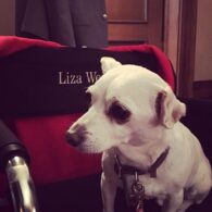 Liza Weil's pet Dog