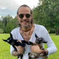 Marc Anthony's pet Goats