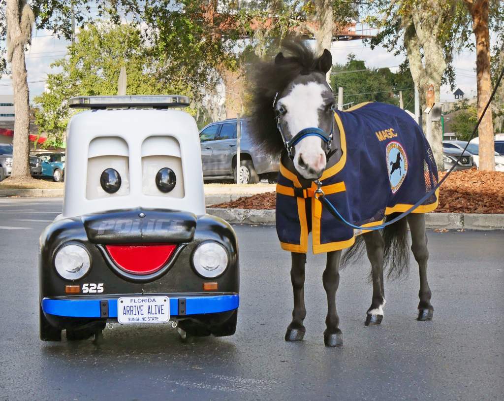 Officer Magic Mini Therapy Horse