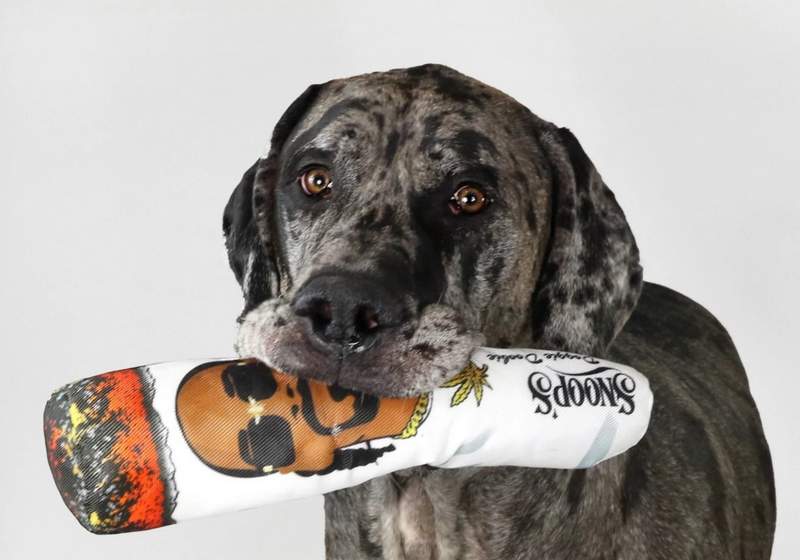 Snoop Doggie Doggs Doobie Pet Toy