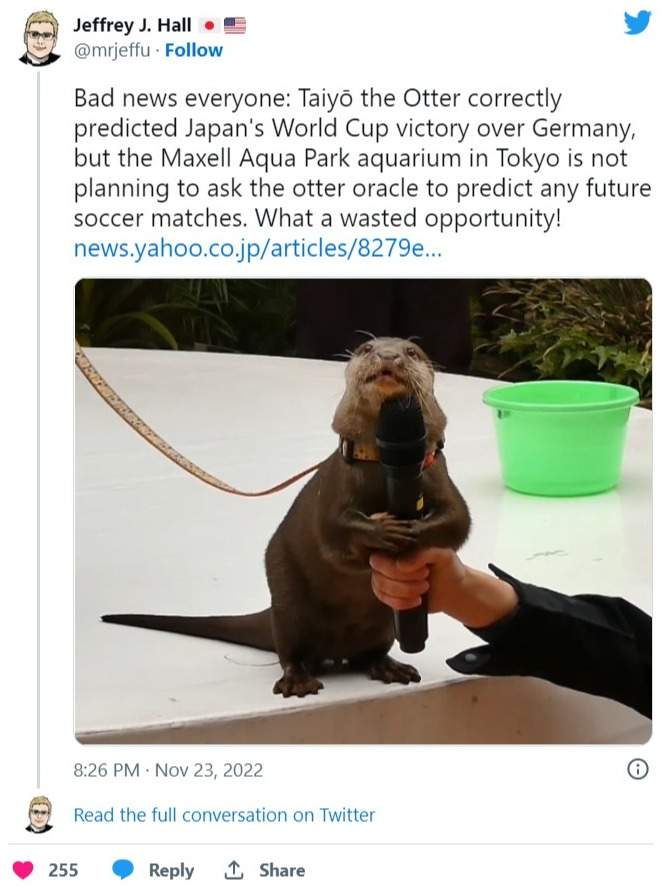 Tweet otter retiring from predicting World Cup Matches