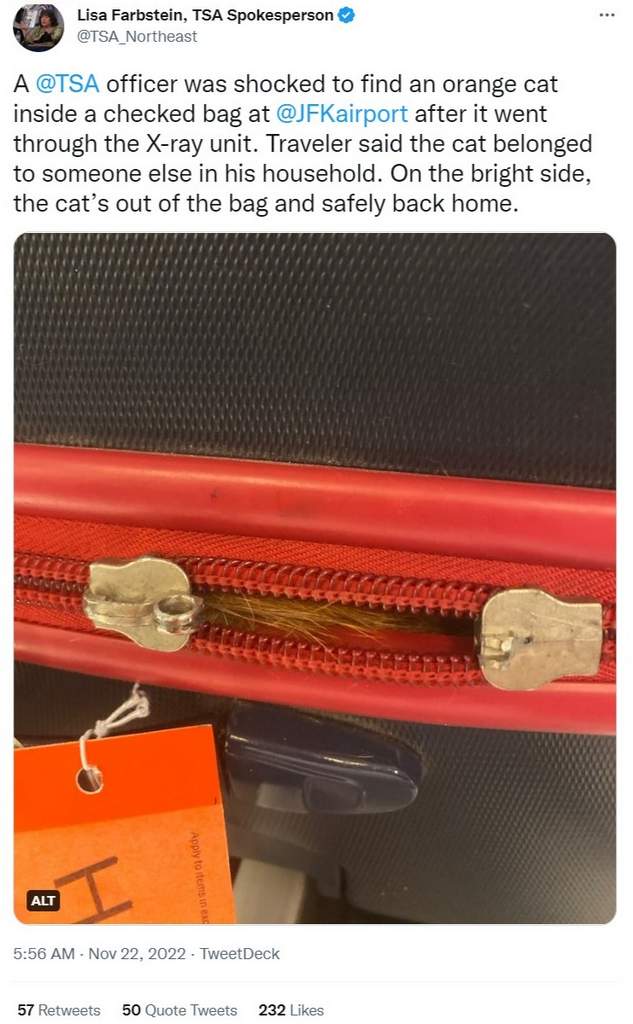 @TSA tweet about ginger cat stowaway in luggage from NYC to Florida