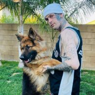 Aaron Carter's pet Zelda