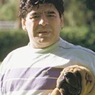 Diego Maradona's pet Bela