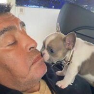 Diego Maradona's pet Lola