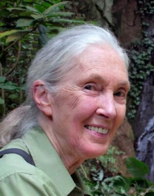 Jane Goodall Pets