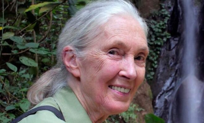 Jane Goodall Pets