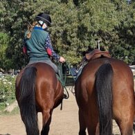 Kerry Condon's pet Ranch for Rescued Horses