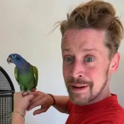 Macaulay Culkin Pets - Celebrity Pets