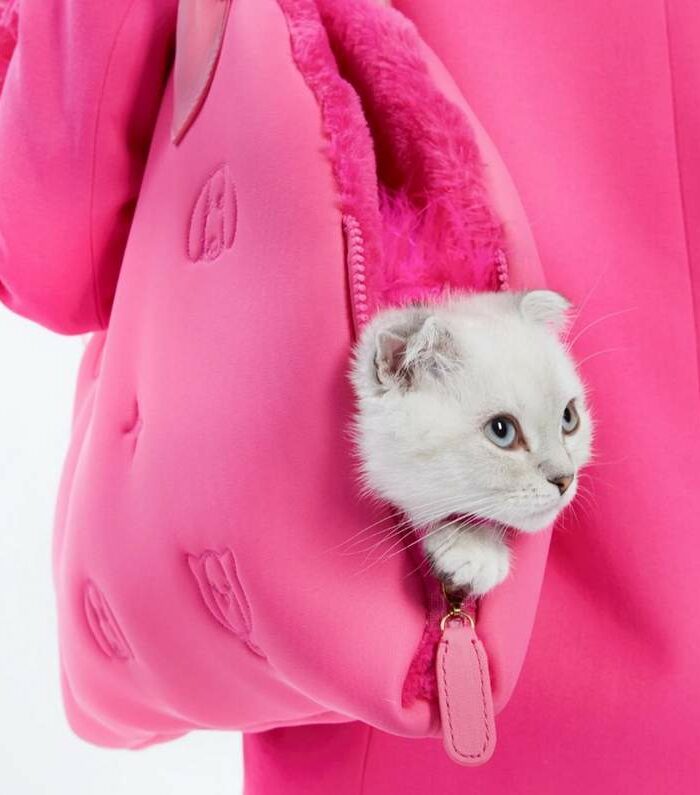 Paris Hilton MetaPink cat carrier