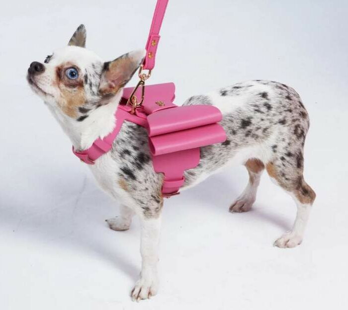 Paris Hilton MetaPink dog bow harness