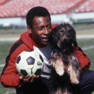 Pelé's pet Old Dog