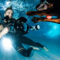 Seth Caasteel's pet Underwater Dogs