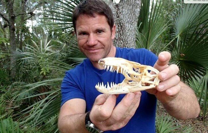 Steve Backshall Pets