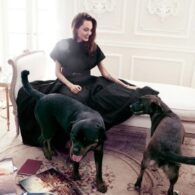 Angelina Jolie's pet Rescued Pitbull Mix