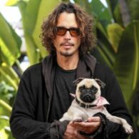 Chris Cornell's pet Ella